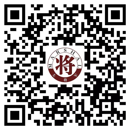 攻略丨了解多姿多彩的瓷磚紋理，才能裝出時尚有范的美好生活！
(圖17)